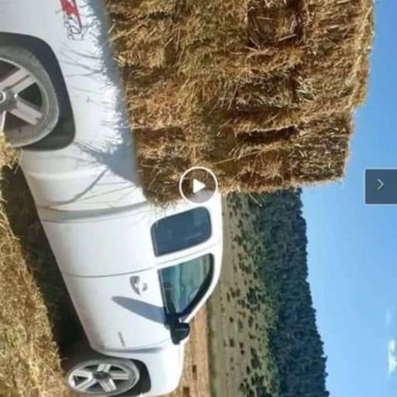 Meet your Posher, Gilberto - Picture 1 of 1